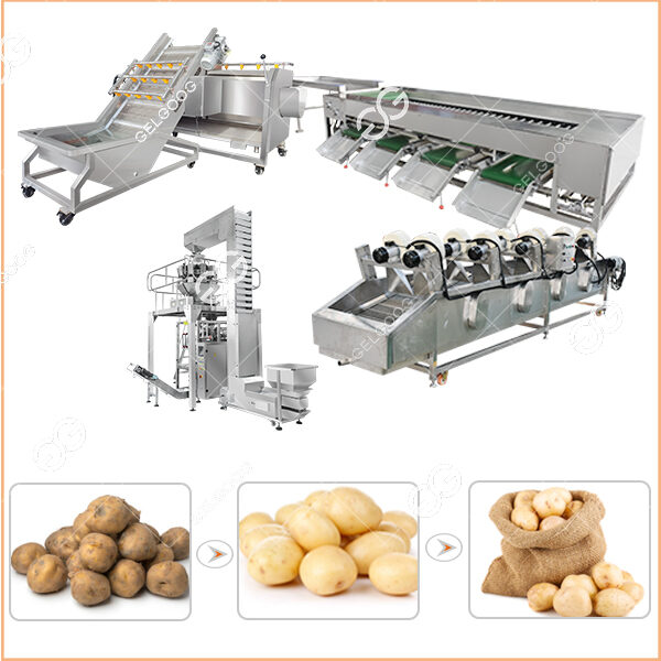 300Kg/H Potato Slicer Machine For Business&Chips