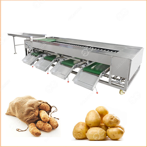 potato size sorting machine