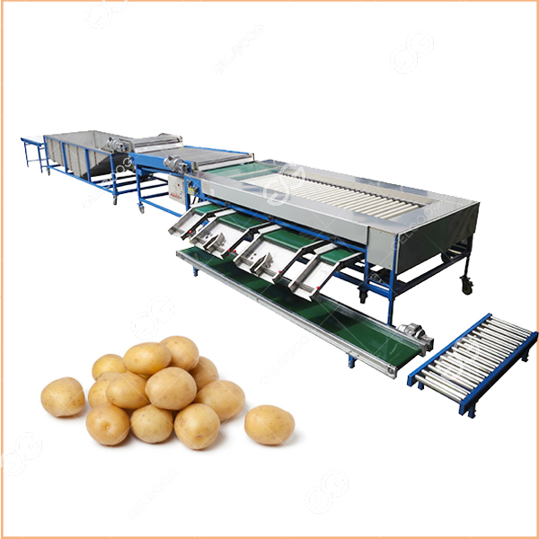 Egg Grading Machine  Egg Processing Machines Supplier