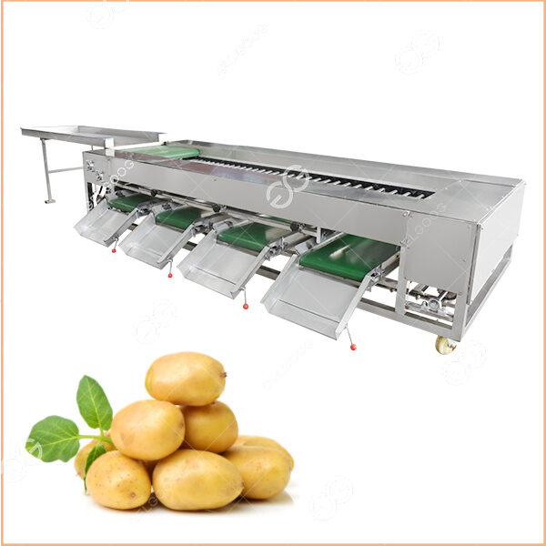 potato grading machine manufacturer