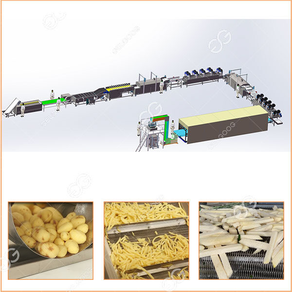 frozen french fries processing plant