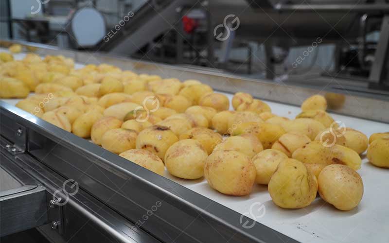 potato washing machine