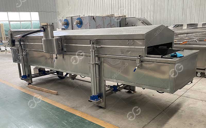 Continuous frying machines